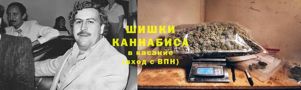 ПСИЛОЦИБИНОВЫЕ ГРИБЫ Гусев